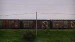 old 40 ft boxcars stored by the shops